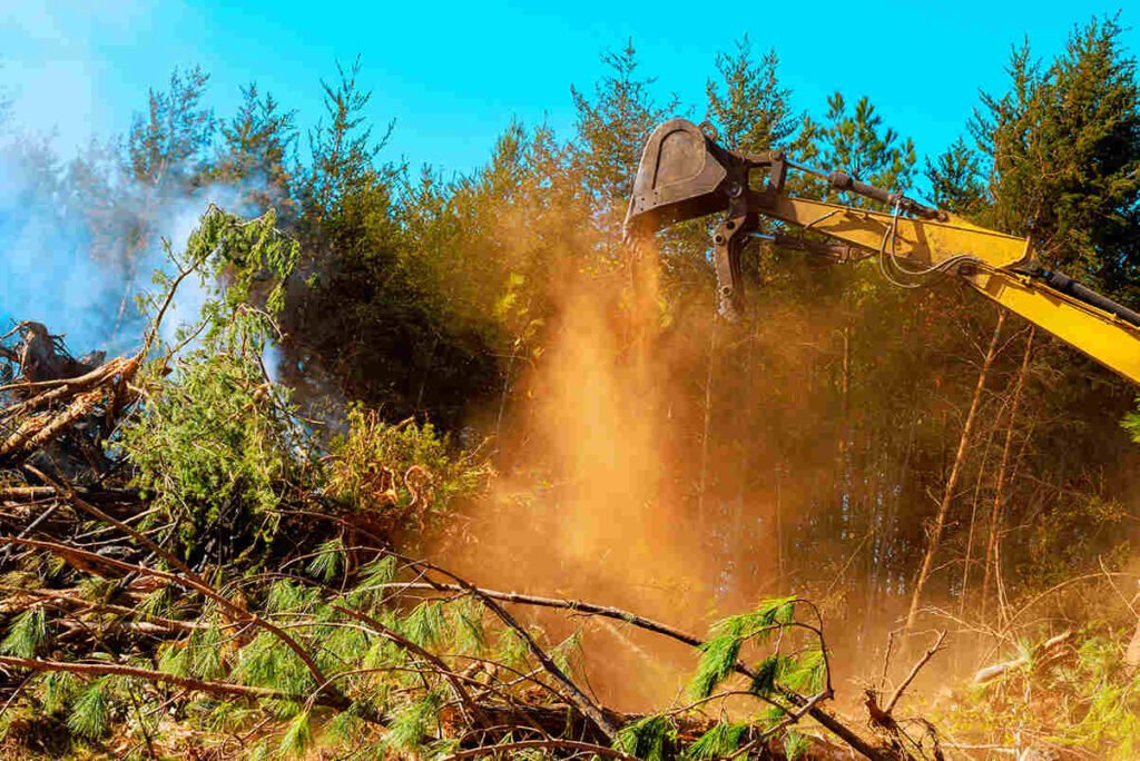 Forestry Mulching machine clearing land and removing brush